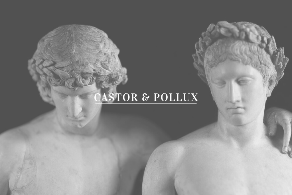 castor and pollux, greek mythology, greek deities, divine twins, ancient myths