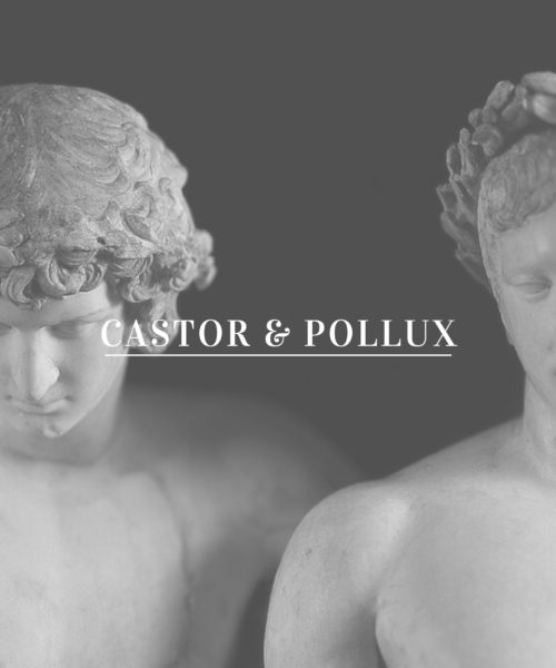 castor and pollux, greek mythology, greek deities, divine twins, ancient myths