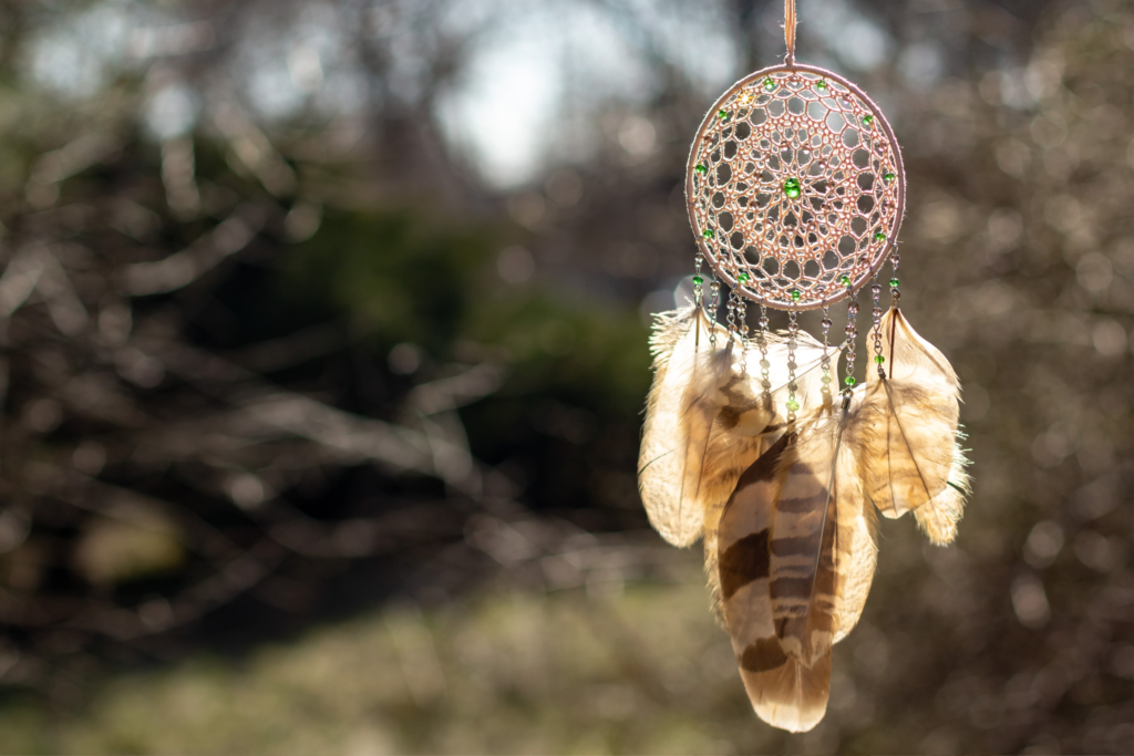 medicine wheel, indigenous culture, indigenous medicine, four directions, four elements