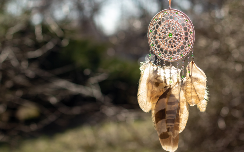 medicine wheel, indigenous culture, indigenous medicine, four directions, four elements